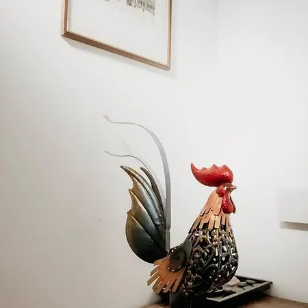 Apartmán Vatican Del Gallo Řím