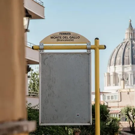 Vatican Del Gallo Rom