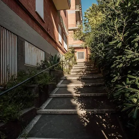 Vatican Del Gallo 로마