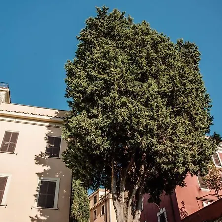 Vatican Del Gallo Апартаменты Рим